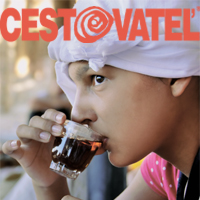 www.cestovatel.eu