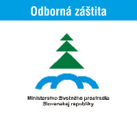 www.minzp.sk